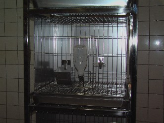 Клетка для кроликов